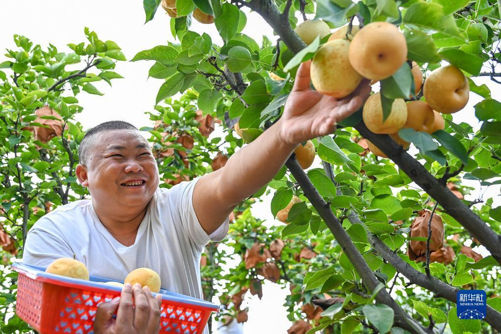 银河现金排名